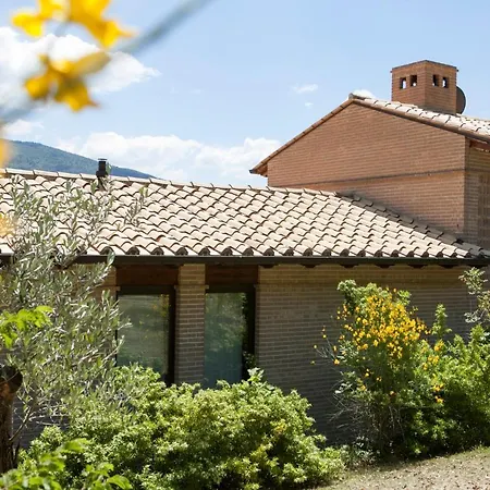 Morgana Ассизи