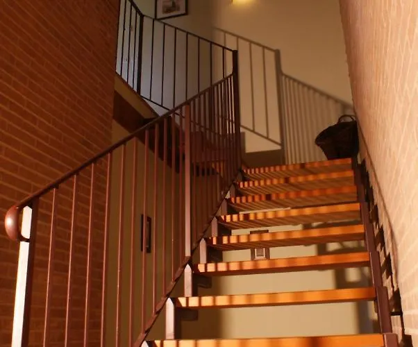 Morgana * أسيسي