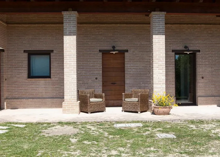 Morgana فيلة أسيسي